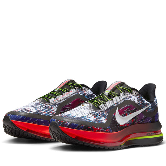 Nike Pegasus Premium - Multi/Metallic Silver